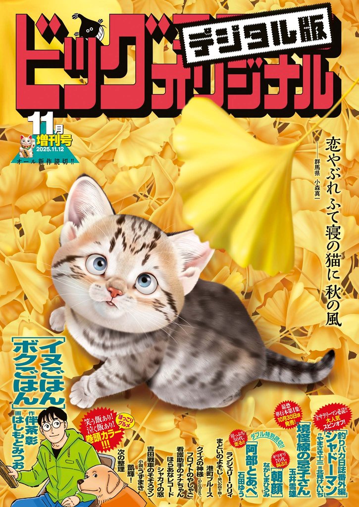 ビッグコミックオリジナル増刊 49 冊セット 最新刊まで