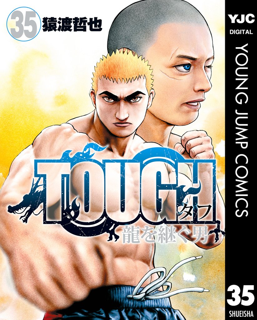 TOUGH 龍を継ぐ男 35 冊セット 全巻