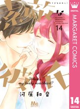 漫画 電子書籍 素敵な彼氏 の表紙画像