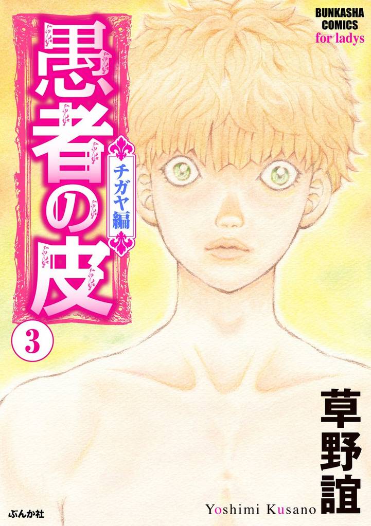 愚者の皮 ―チガヤ編― 3 冊セット 全巻