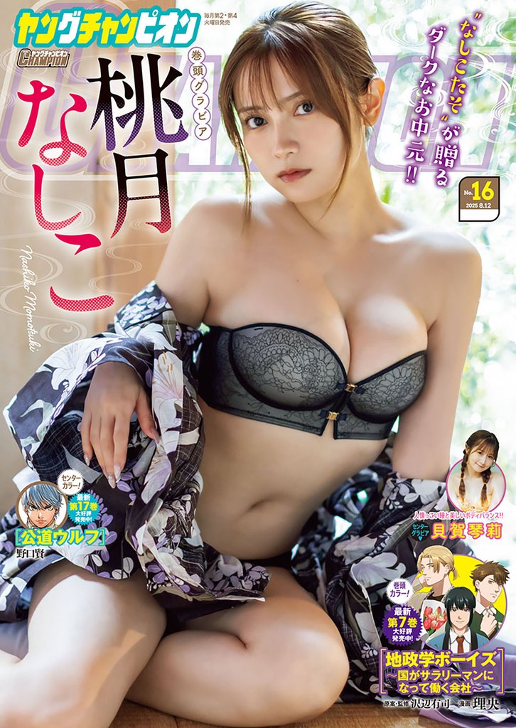 ヤングチャンピオン 13 冊セット 最新刊まで