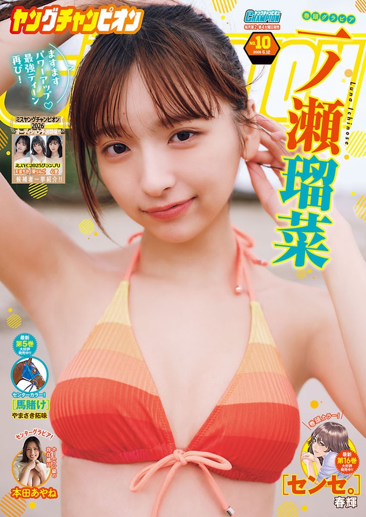 ヤングチャンピオン 12 冊セット 最新刊まで
