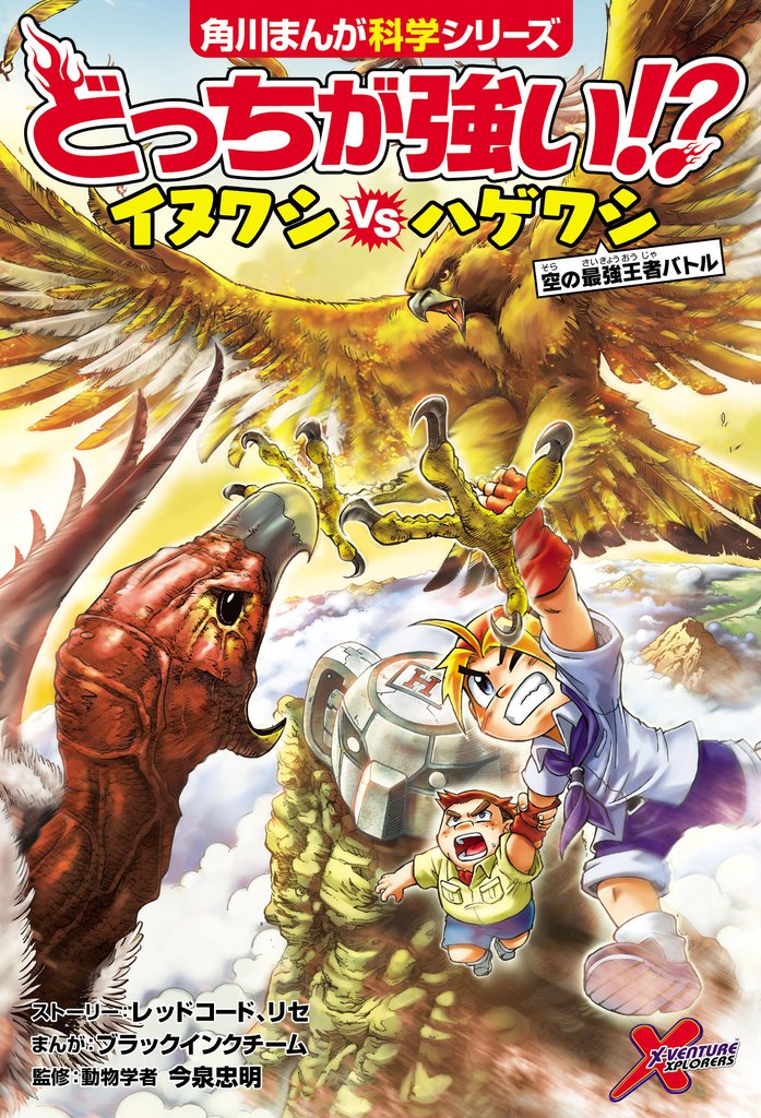どっちが強い！？　イヌワシvsハゲワシ　空の最強王者バトル