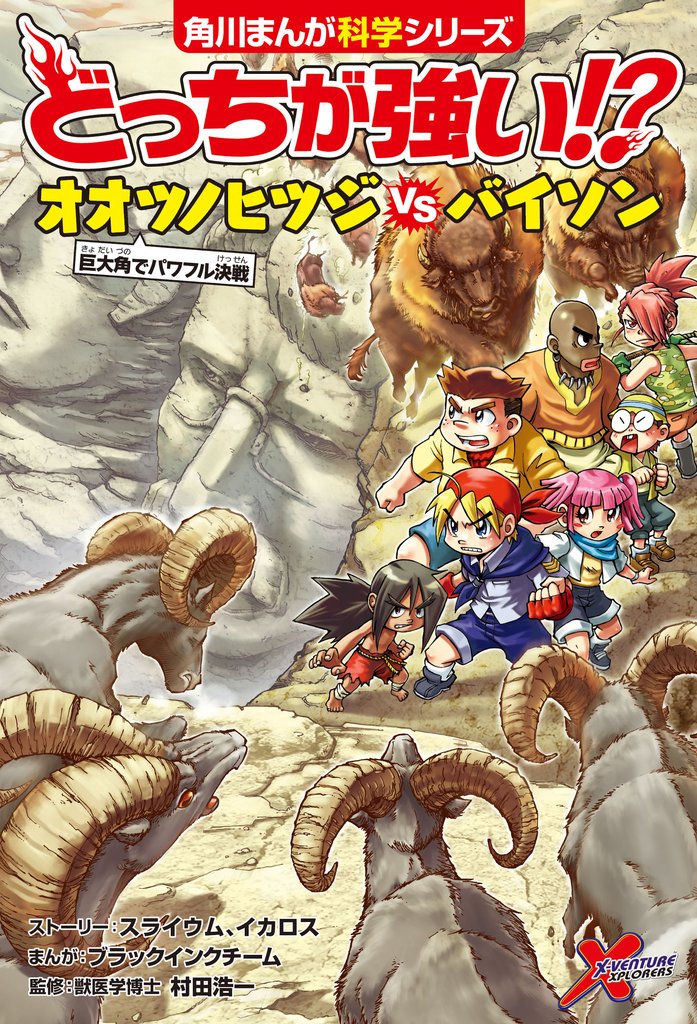 どっちが強い！？　オオツノヒツジvsバイソン　巨大角でパワフル決戦