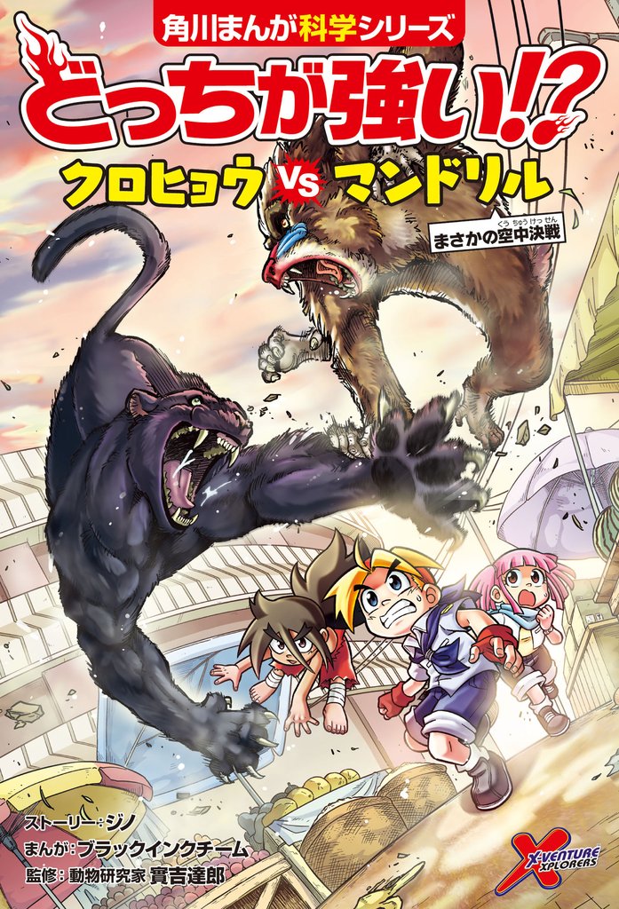 どっちが強い！？　クロヒョウvsマンドリル　まさかの空中決戦