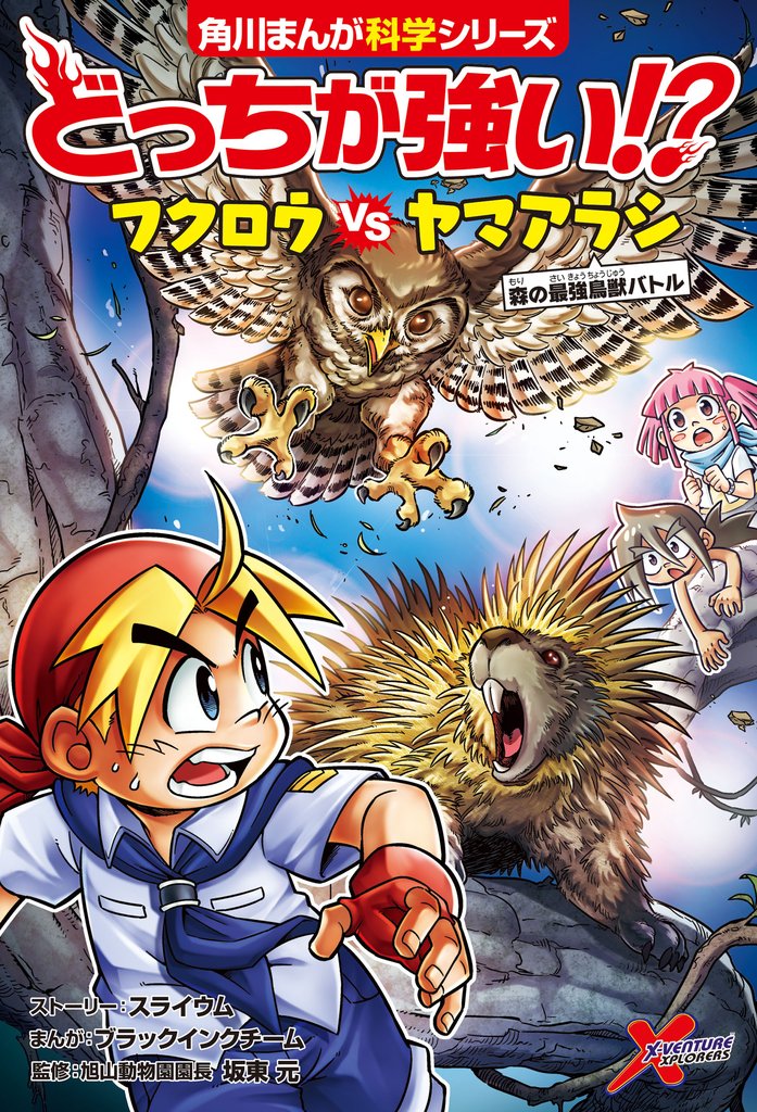 どっちが強い！？　フクロウvsヤマアラシ　森の最強鳥獣バトル