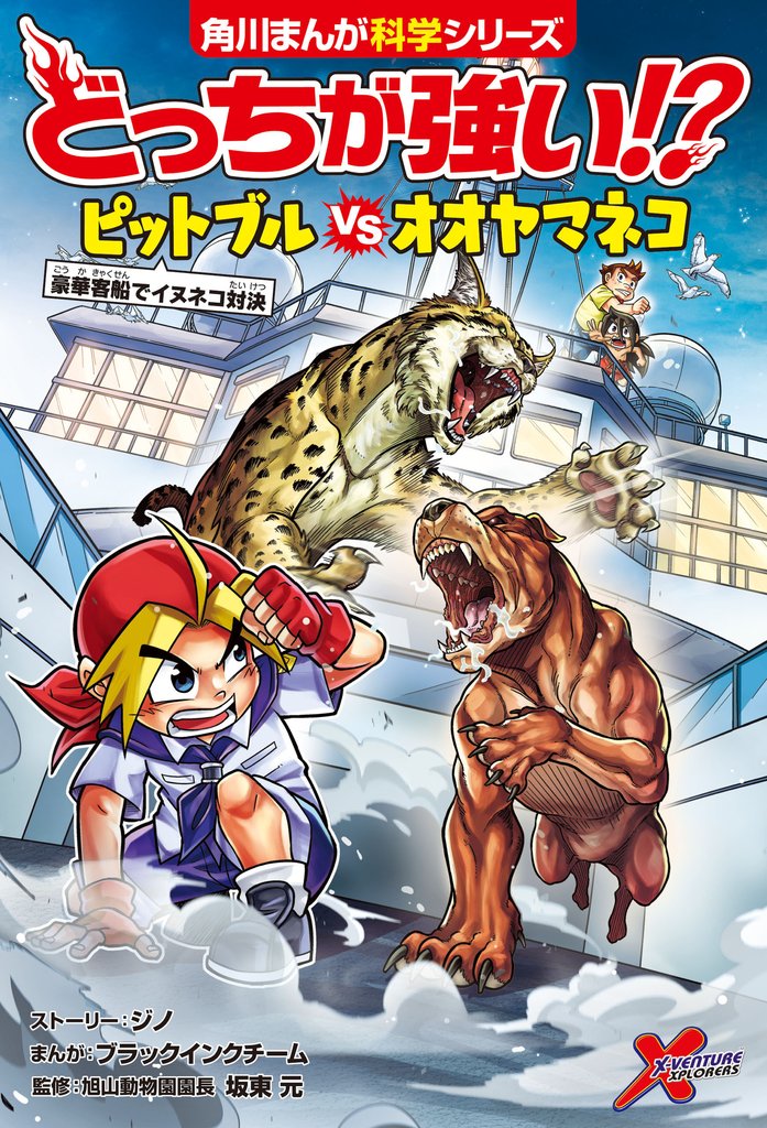 どっちが強い！？　ピットブルvsオオヤマネコ　豪華客船でイヌネコ対決