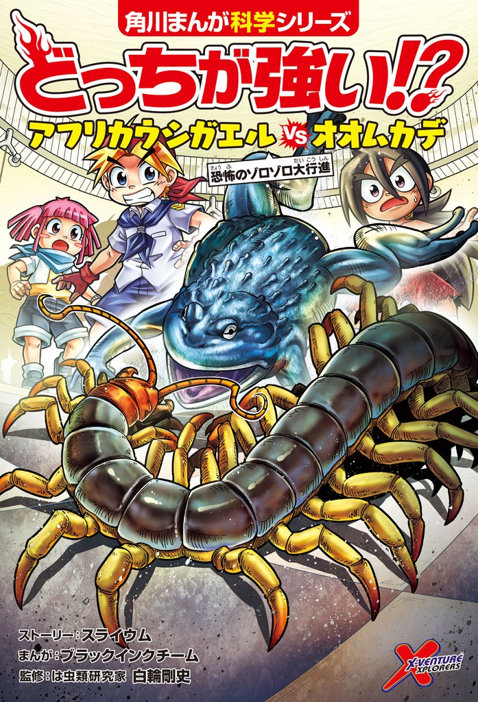 どっちが強い！？　アフリカウシガエルvsオオムカデ　恐怖のゾロゾロ大行進