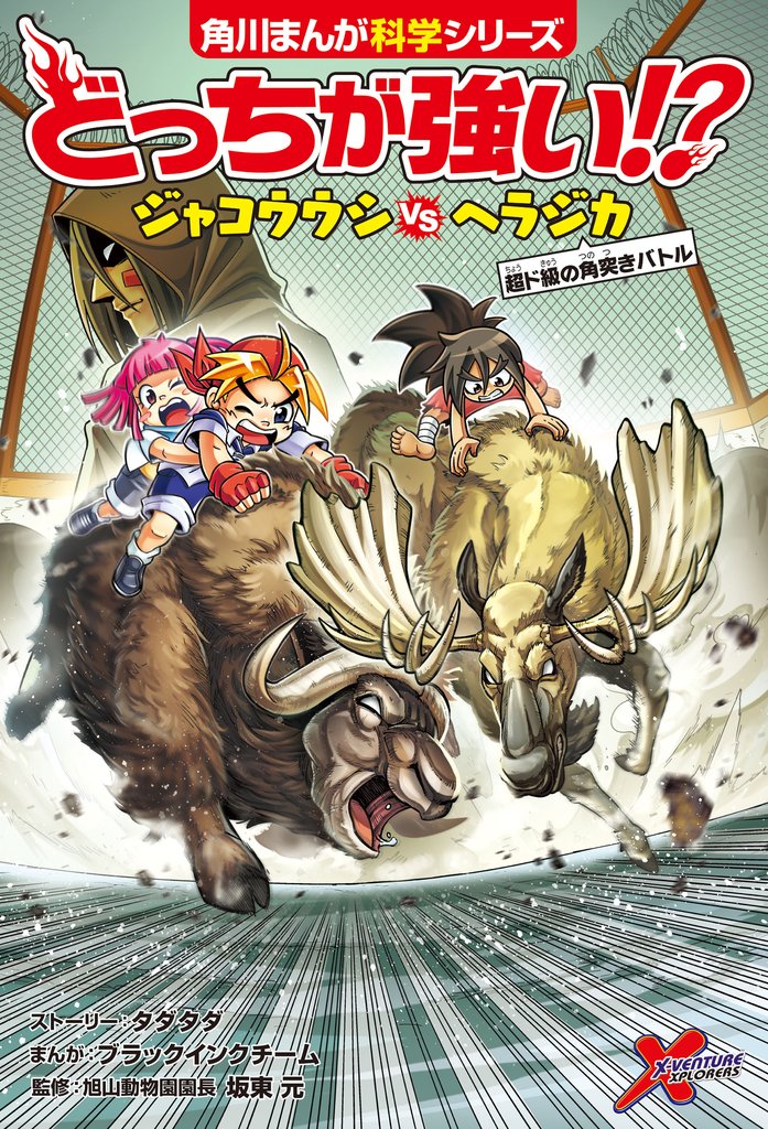どっちが強い！？　ジャコウウシvsヘラジカ　超ド級の角突きバトル