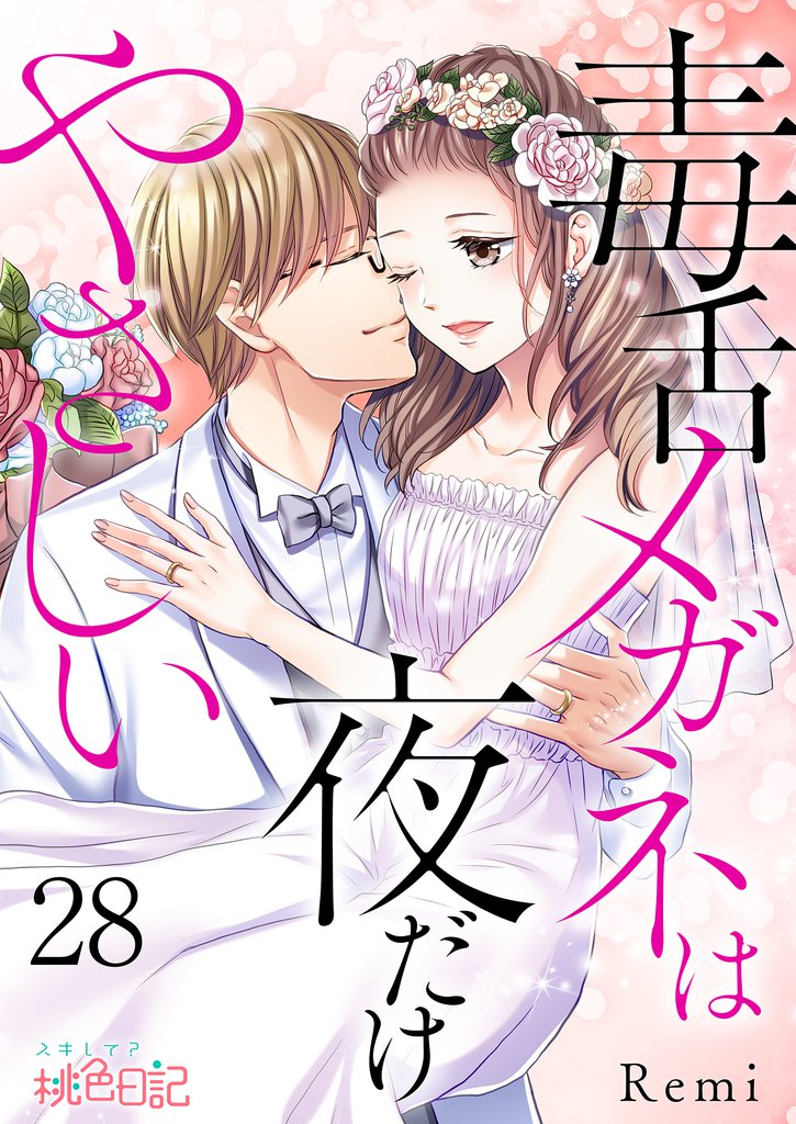 毒舌メガネは夜だけやさしい 28 冊セット 全巻