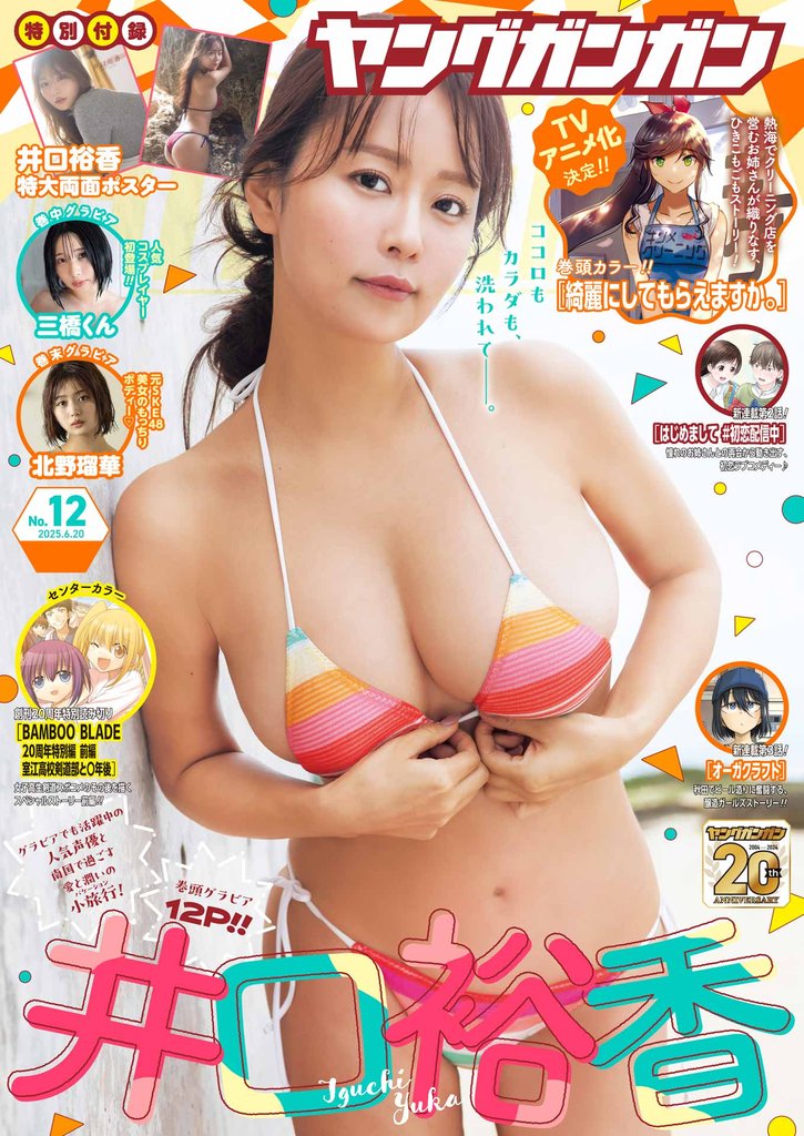 ヤングガンガン 12 冊セット 最新刊まで