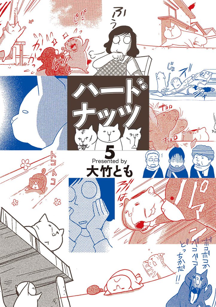 ハードナッツ 5