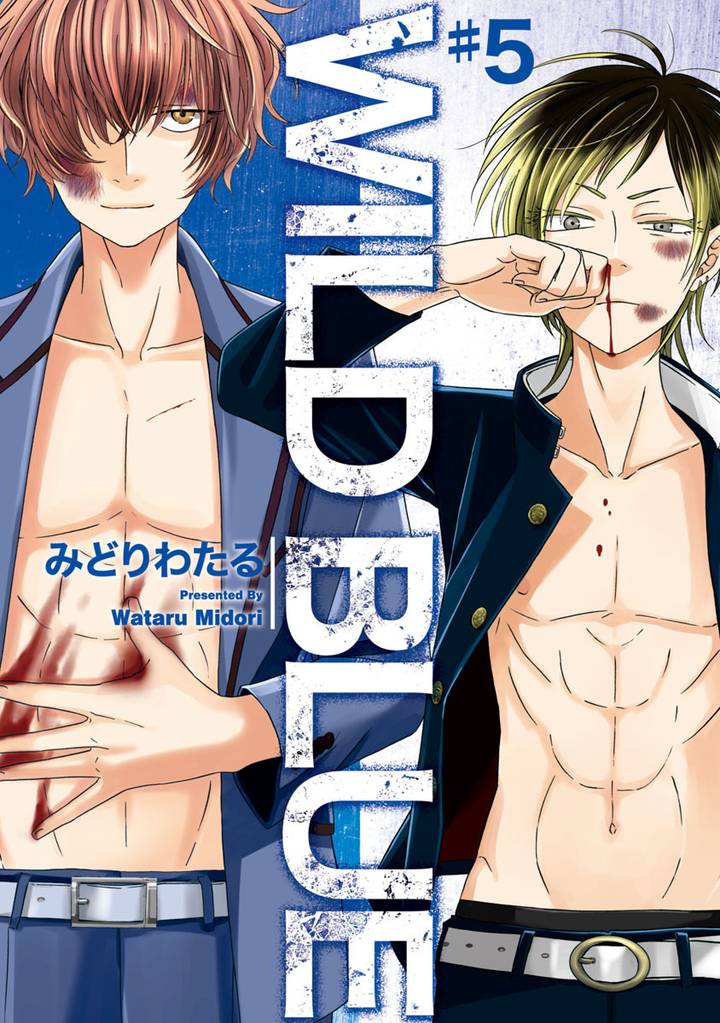 WILD BLUE 5 冊セット 全巻