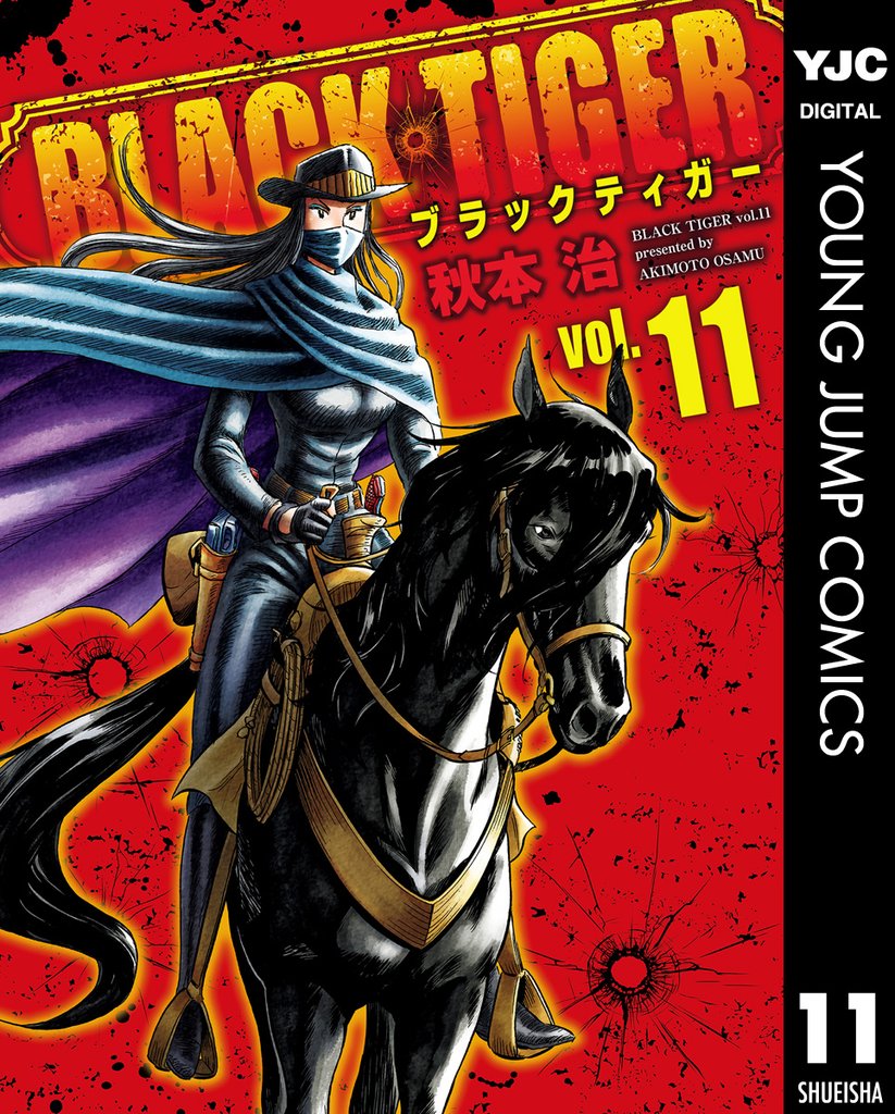 BLACK TIGER ブラックティガー 11 冊セット 全巻
