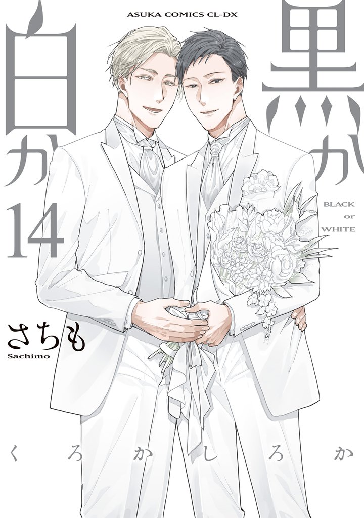 黒か白か 14 冊セット 全巻