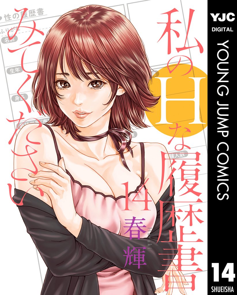 私のHな履歴書みてください 14 冊セット 最新刊まで