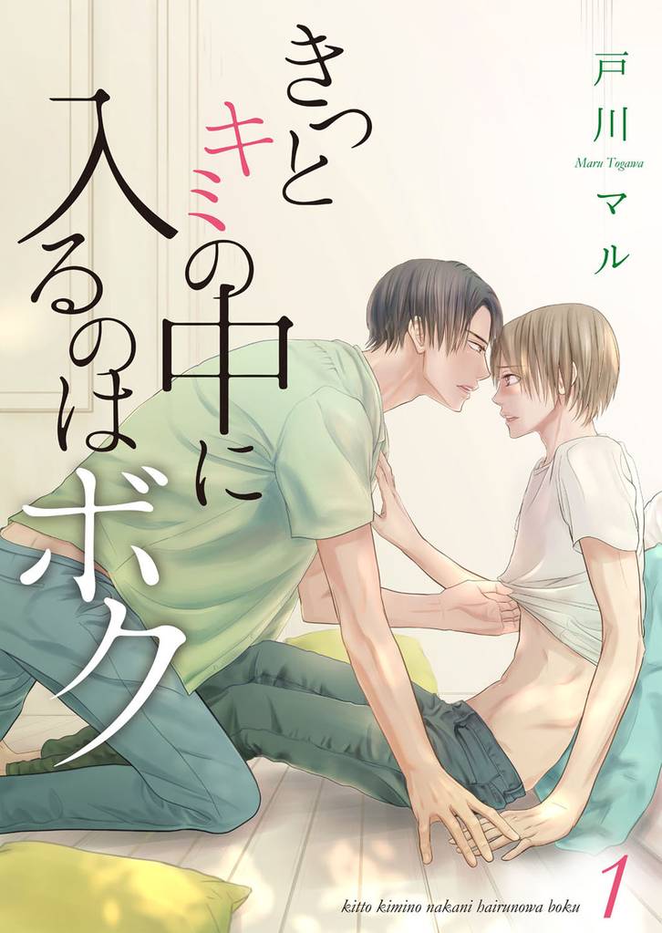 きっとキミの中に入るのはボク 1巻