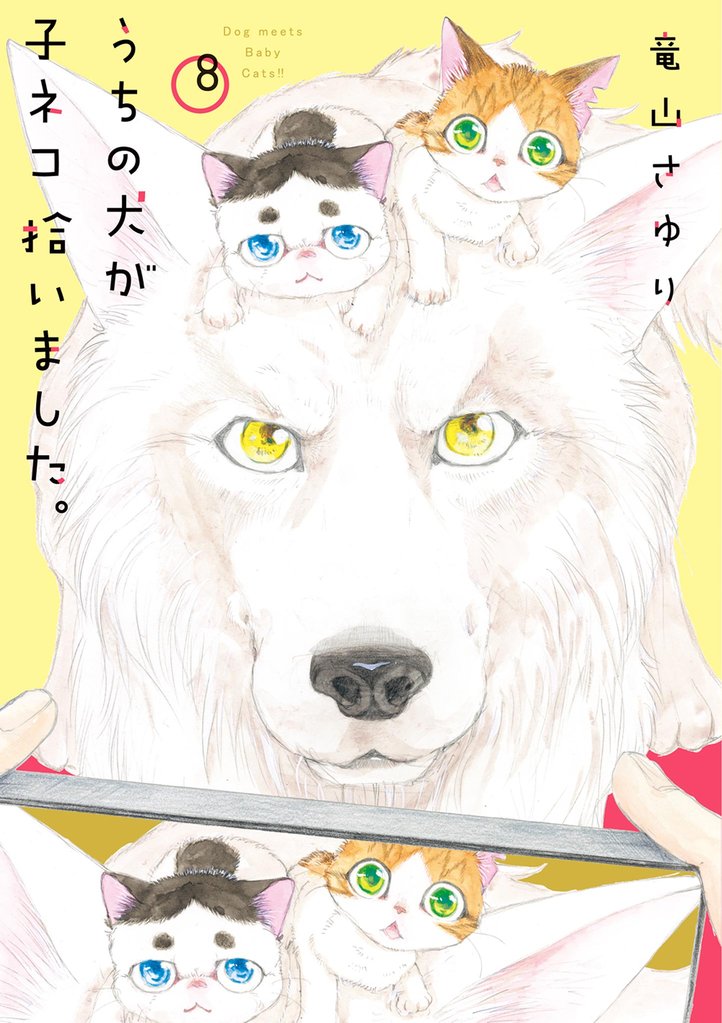 うちの犬が子ネコ拾いました。（８）