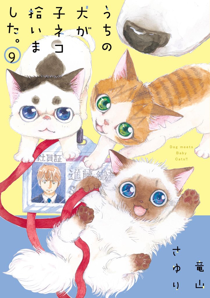 うちの犬が子ネコ拾いました。（９）