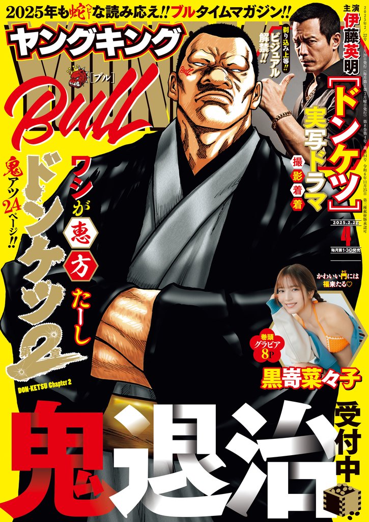 ヤングキングBULL 12 冊セット 最新刊まで