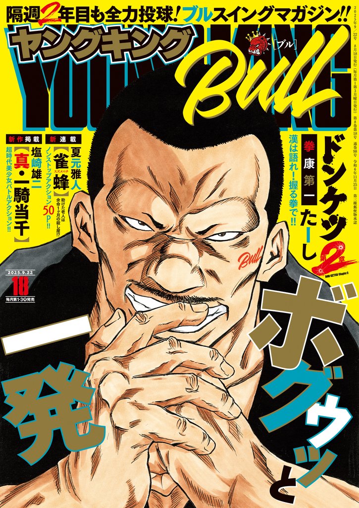 ヤングキングBULL 2025年18号