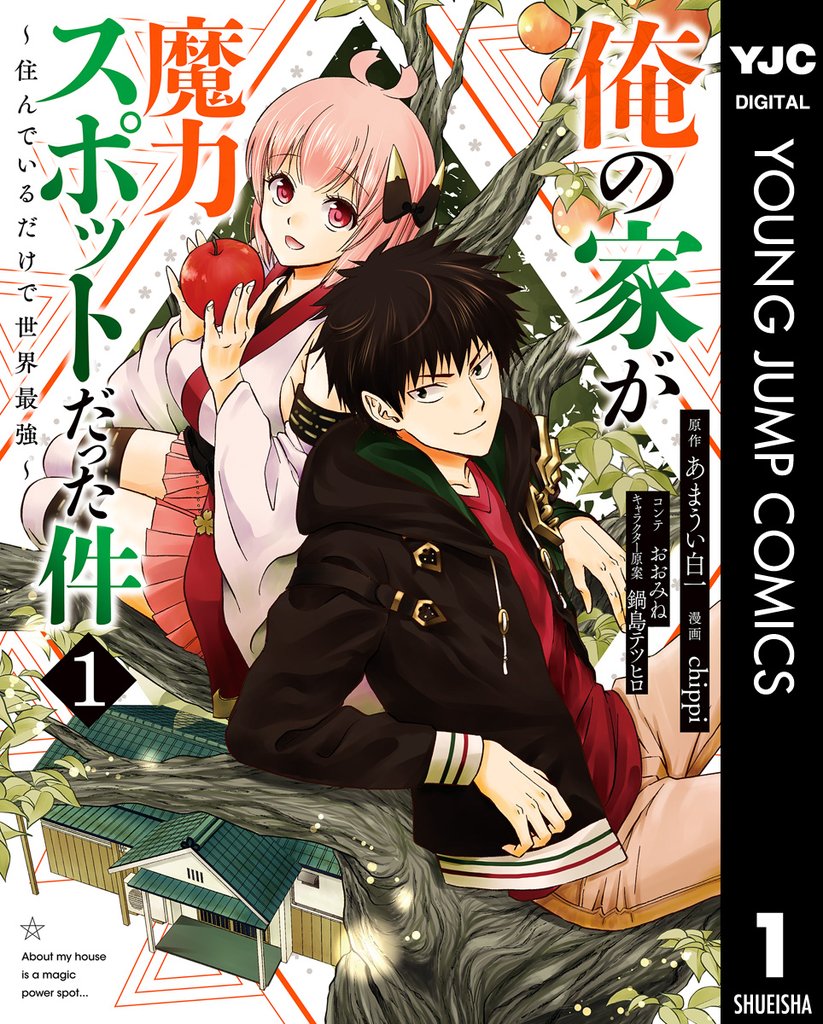 俺の家が魔力スポットだった件 ～住んでいるだけで世界最強～ 1