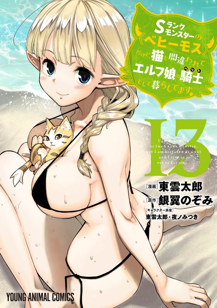 Sランクモンスターの《ベヒーモス》だけど、猫と間違われてエルフ娘の騎士(ペット)として暮らしてます