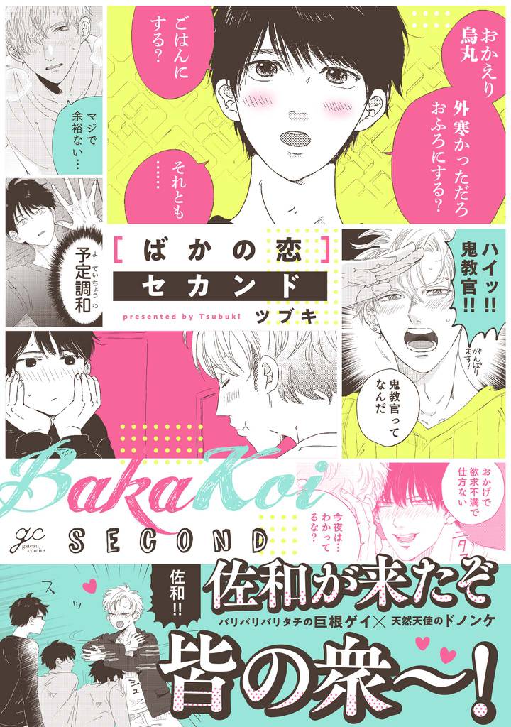 ばかの恋 2 冊セット 最新刊まで