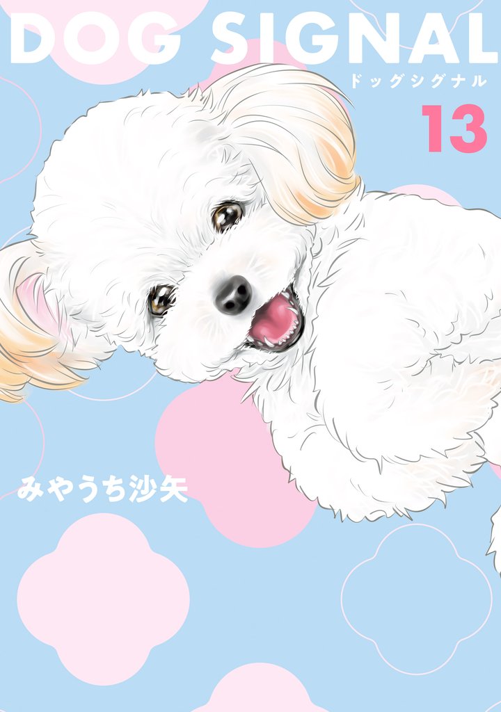 DOG　SIGNAL 13 冊セット 最新刊まで