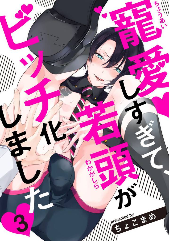 寵愛しすぎて、若頭がビッチ化しました(3)
