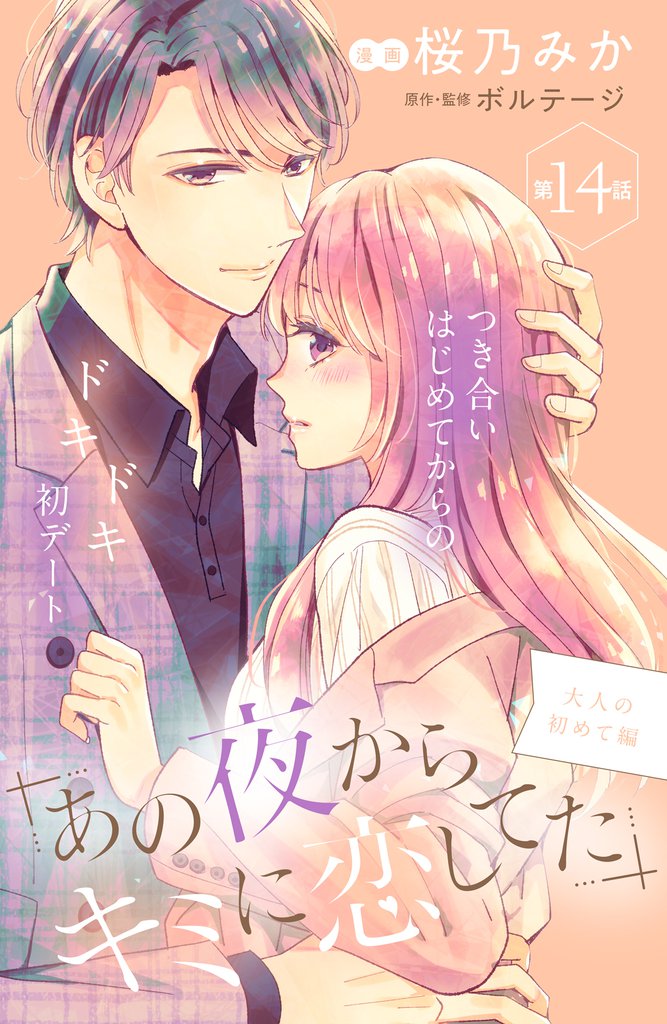 あの夜からキミに恋してた［ｃｏｍｉｃ　ｔｉｎｔ］分冊版（１４）