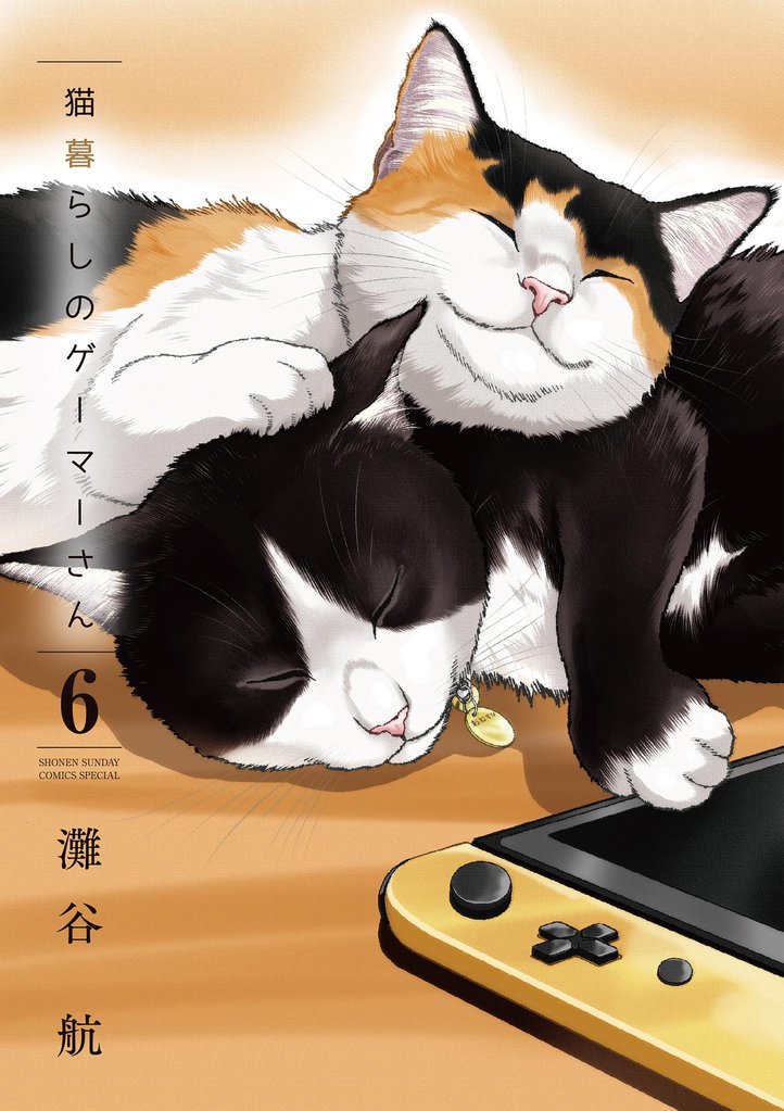 猫暮らしのゲーマーさん（６）