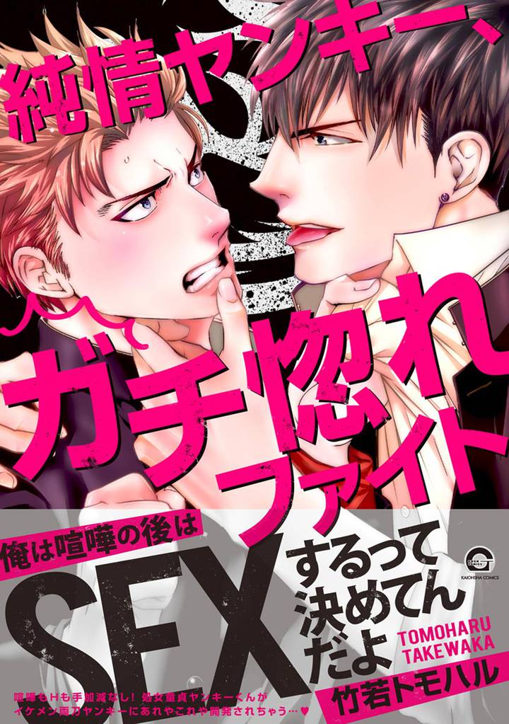 純情ヤンキー、ガチ惚れファイト【電子限定かきおろし漫画付】