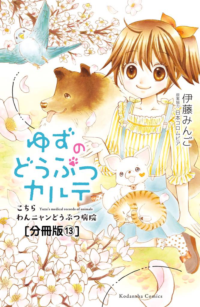 ゆずのどうぶつカルテ～こちら　わんニャンどうぶつ病院～　分冊版（１３）　ちいさないのち　前編　ある日、出会ったたくさんの子猫たち