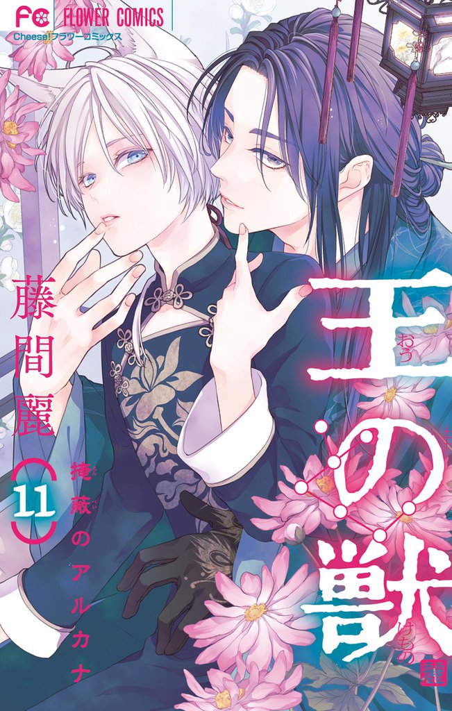 王の獣～掩蔽のアルカナ～【電子限定コラボイラスト特典付き】（１１）