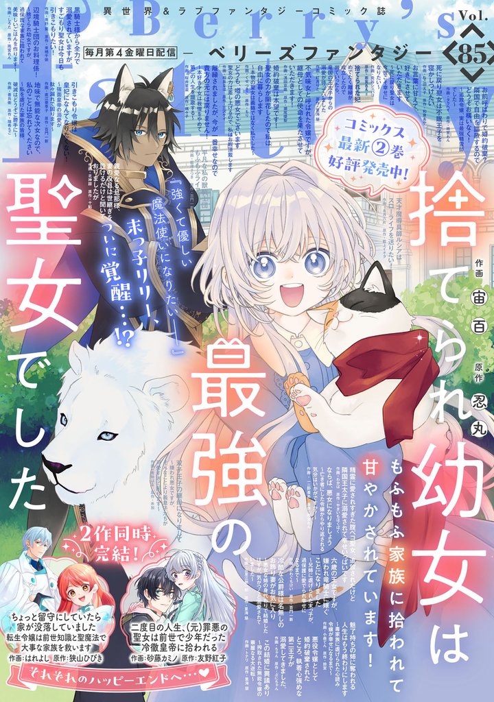 Berry’s Fantasy 85 冊セット 最新刊まで