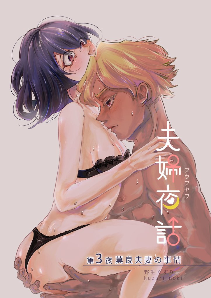夫婦夜話 3 冊セット 最新刊まで