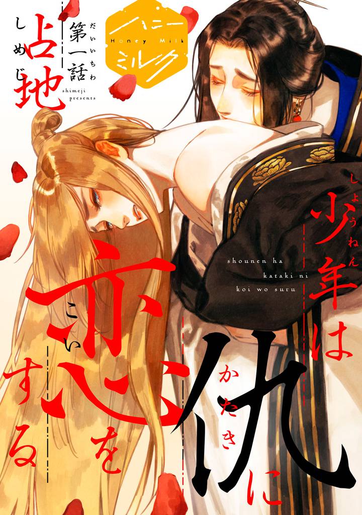 少年は仇に恋をする　分冊版（１）