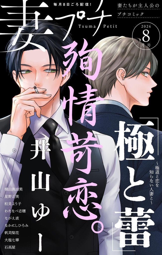妻プチ 80 冊セット 最新刊まで