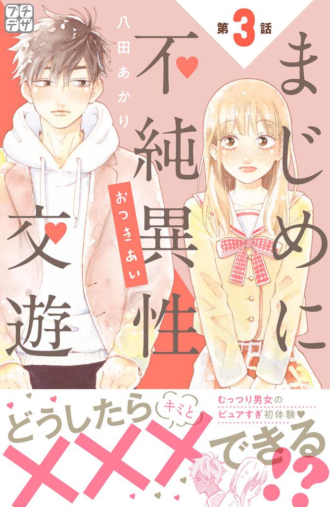 まじめに不純異性交遊 プチデザ(3)
