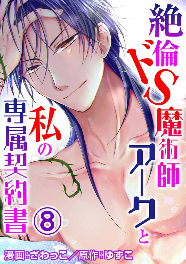 絶倫ドS魔術師アークと私の専属契約書 8