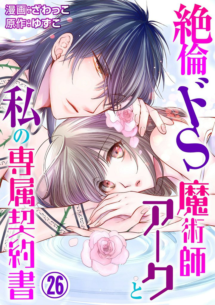 絶倫ドS魔術師アークと私の専属契約書 26