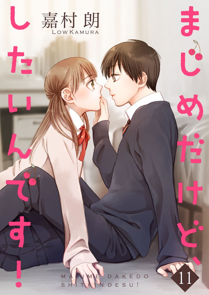 まじめだけど、したいんです!