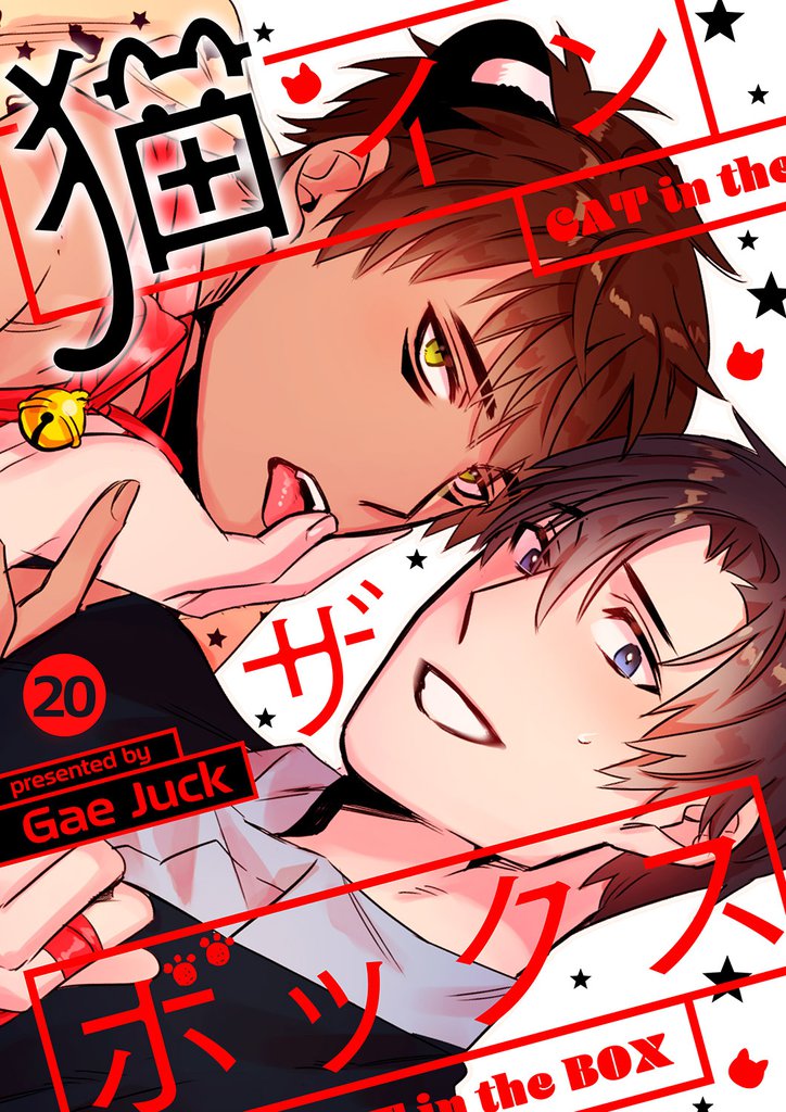 猫インザボックス 20 冊セット 全巻