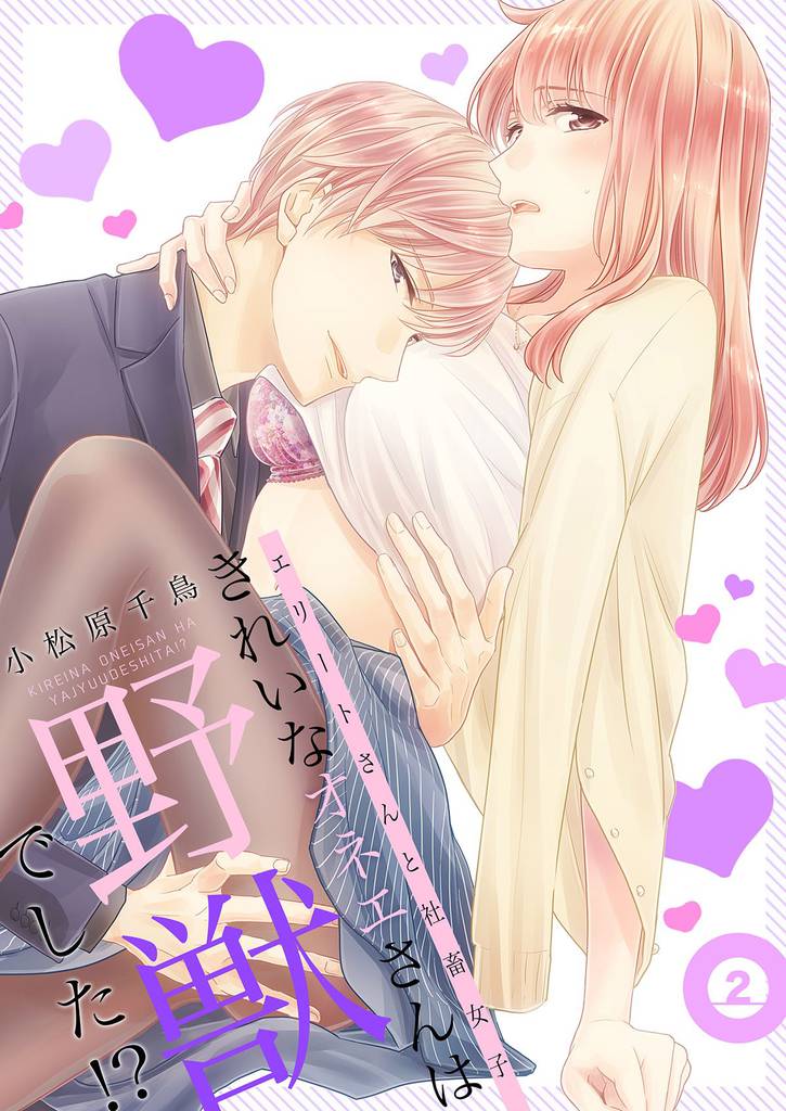 きれいなオネエさんは野獣でした！？～エリートさんと社畜女子【電子特装版】(2)