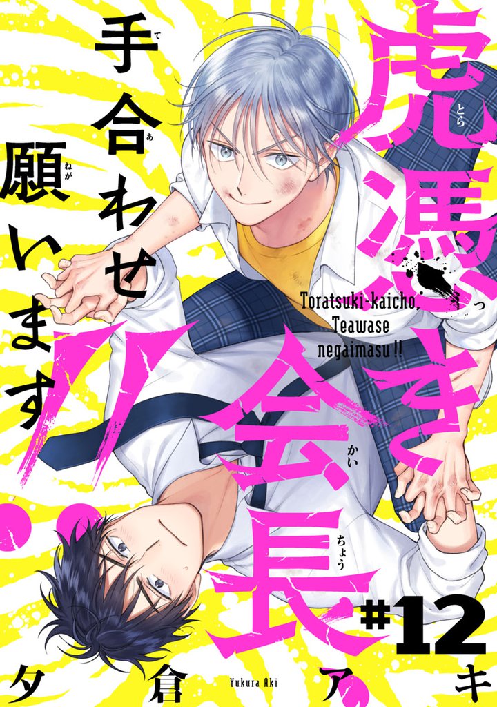 虎憑き会長、手合わせ願います！！ 12 冊セット 全巻