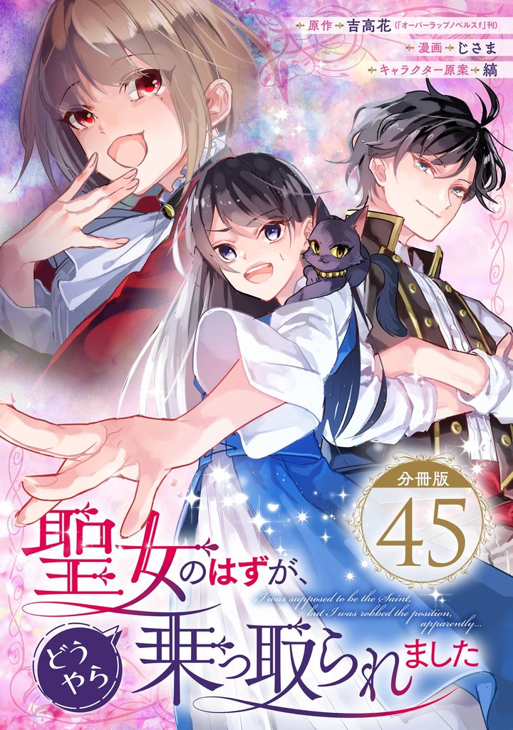 聖女のはずが、どうやら乗っ取られました【分冊版】 45