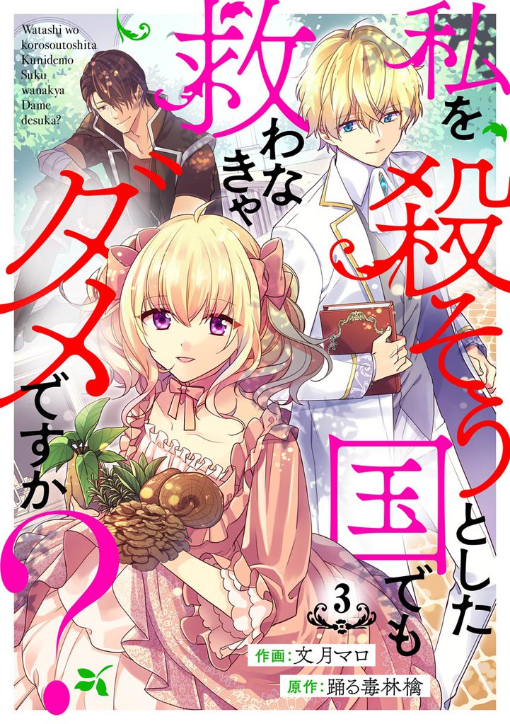 私を殺そうとした国でも救わなきゃダメですか？（分冊版）　【第3話】