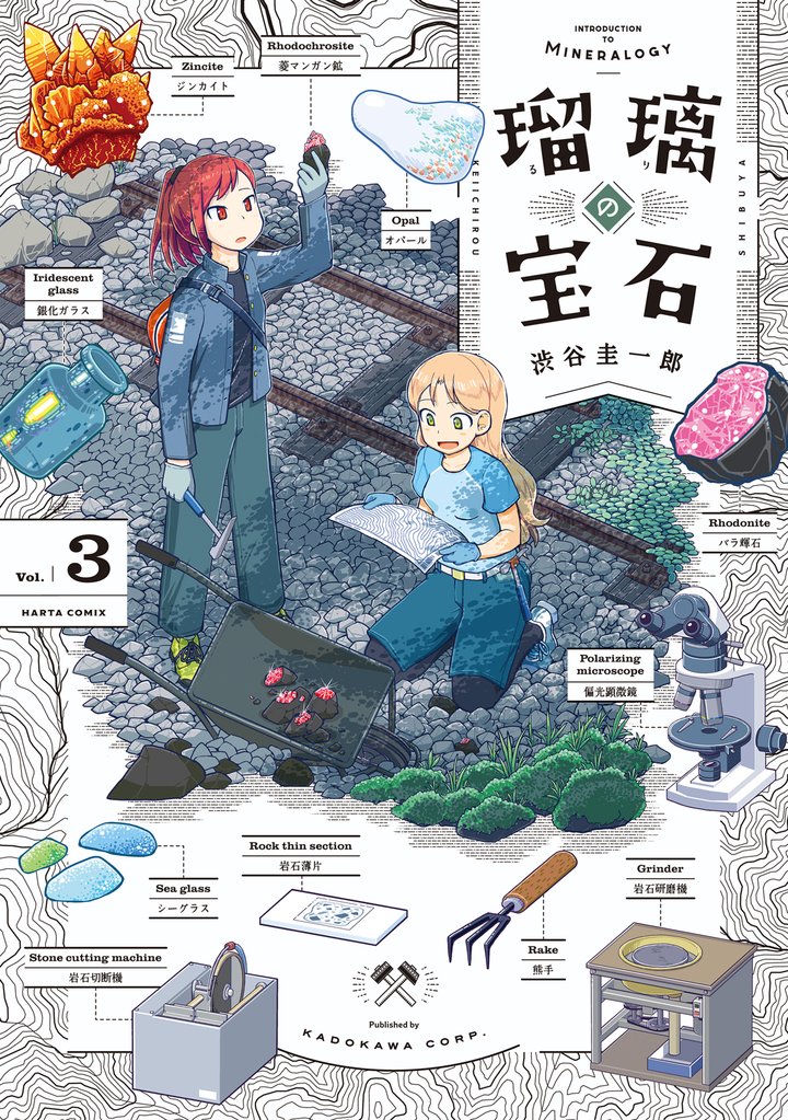 瑠璃の宝石 3