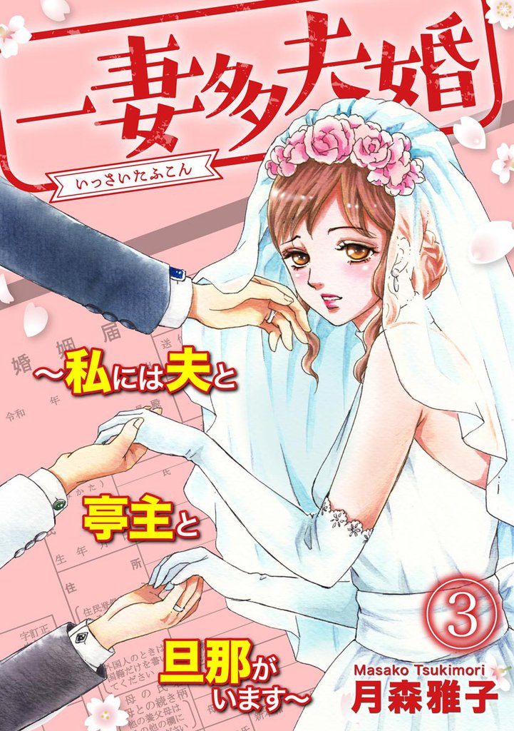 一妻多夫婚 ～私には夫と亭主と旦那がいます～ 3 冊セット 全巻